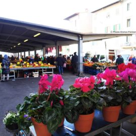 Il mercato di S.Ambrogio.