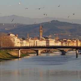 Un battito d’ali sopra Firenze.