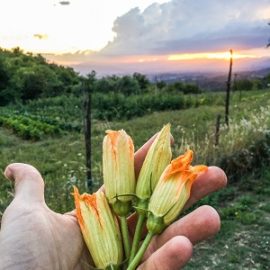 Attulaio, un agriturismo subito sotto il paradiso.