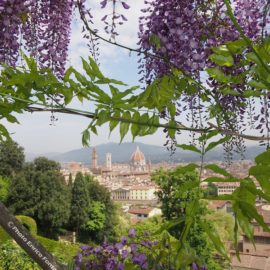 Firenze attraverso i Glicini del Giardino di Villa Bardini.