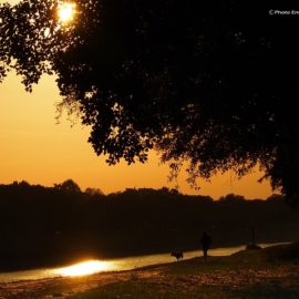 Sul calar della sera lungo l’argine delle Cascine.