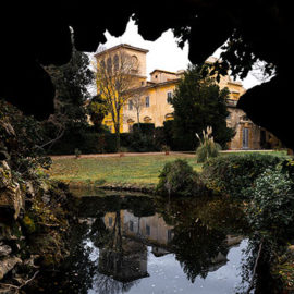 Pinocchio e il vero Campo dei Miracoli.